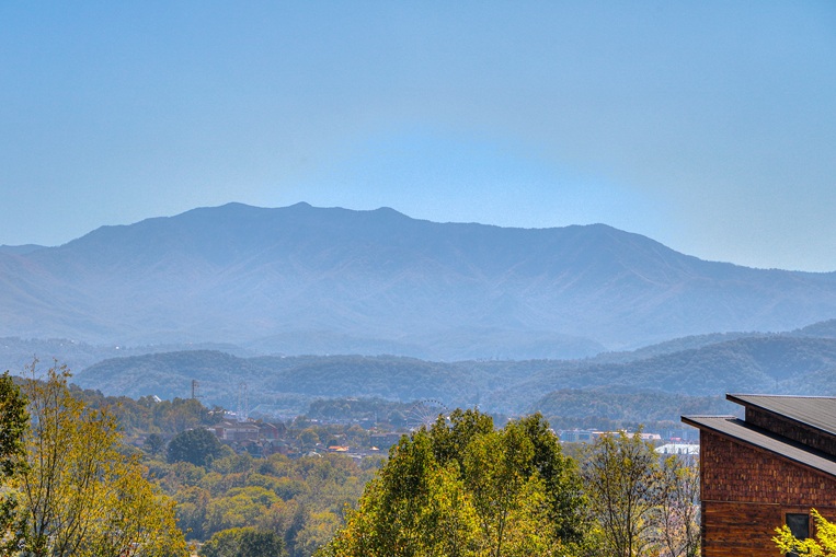 3335-31a-101525 3335-31a-101525