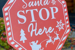 Photo-Nov-17-2025-3-28-04-PM