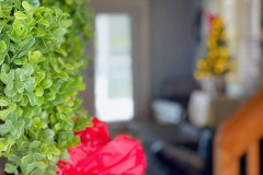 Photo-Dec-09-2025-12-05-27-PM