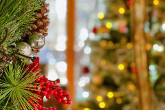 Photo-Dec-09-2025-11-17-37-AM