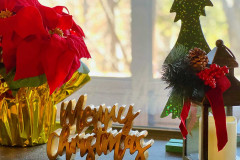 Photo-Nov-12-2025-10-33-13-AM