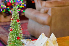 Photo-Nov-17-2025-3-17-27-PM