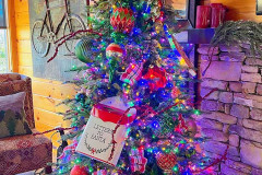 Photo-Nov-17-2025-3-18-43-PM