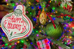 Photo-Nov-17-2025-3-20-07-PM