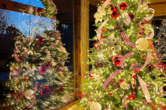 Photo-Nov-17-2025-5-45-30-PM