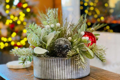 Photo-Nov-17-2025-4-13-46-PM