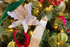 Photo-Nov-04-2025-10-00-09-AM