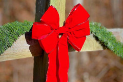 Photo-Dec-09-2025-10-58-55-AM