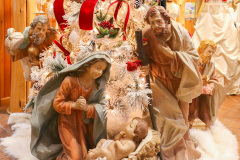 7-Nativity