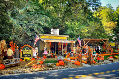 harvestfest-2023-02