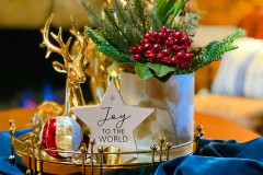 Photo-Dec-10-2025-3-28-29-PM