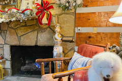 Photo-Dec-10-2025-3-29-50-PM