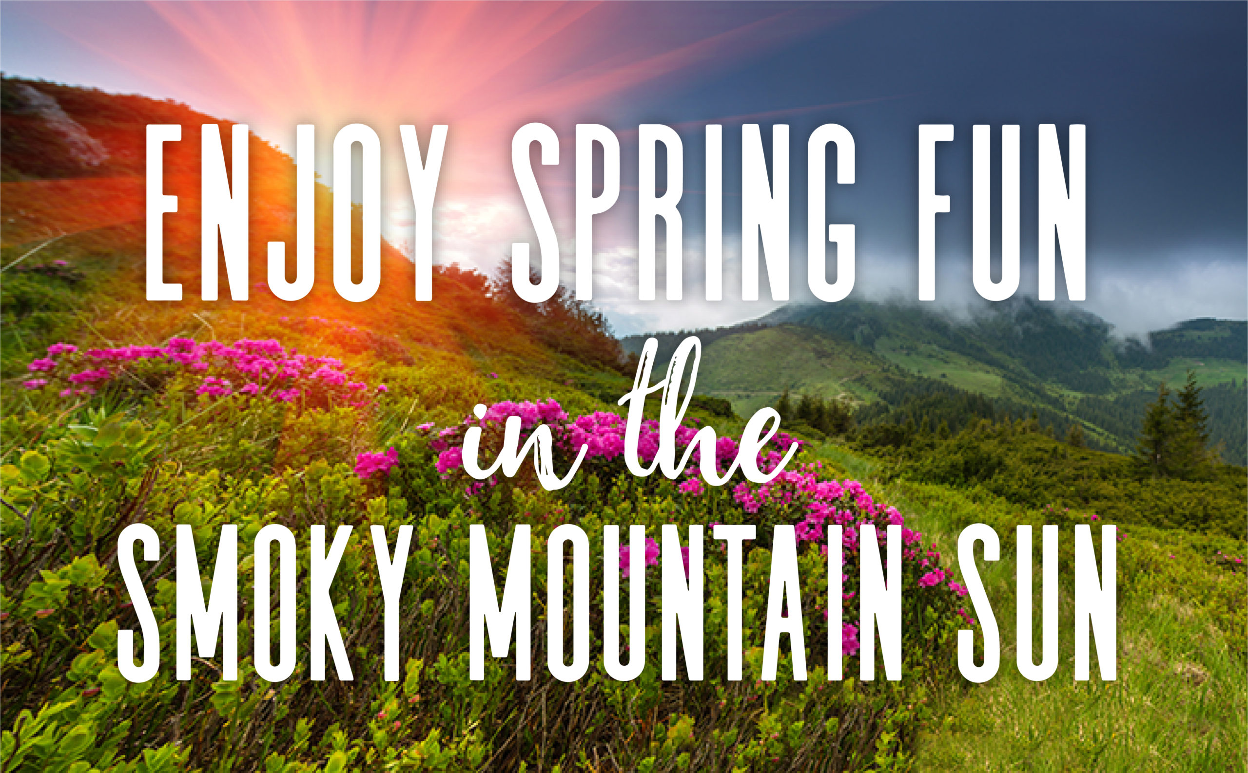 Enjoy Spring Fun in the Smoky Mountain Sun!